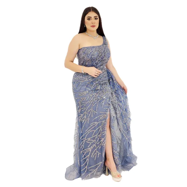 Embroidered Fabric Evening Dress CH111-2